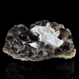 Smoky quartz – Ploemeur, Morbihan, France