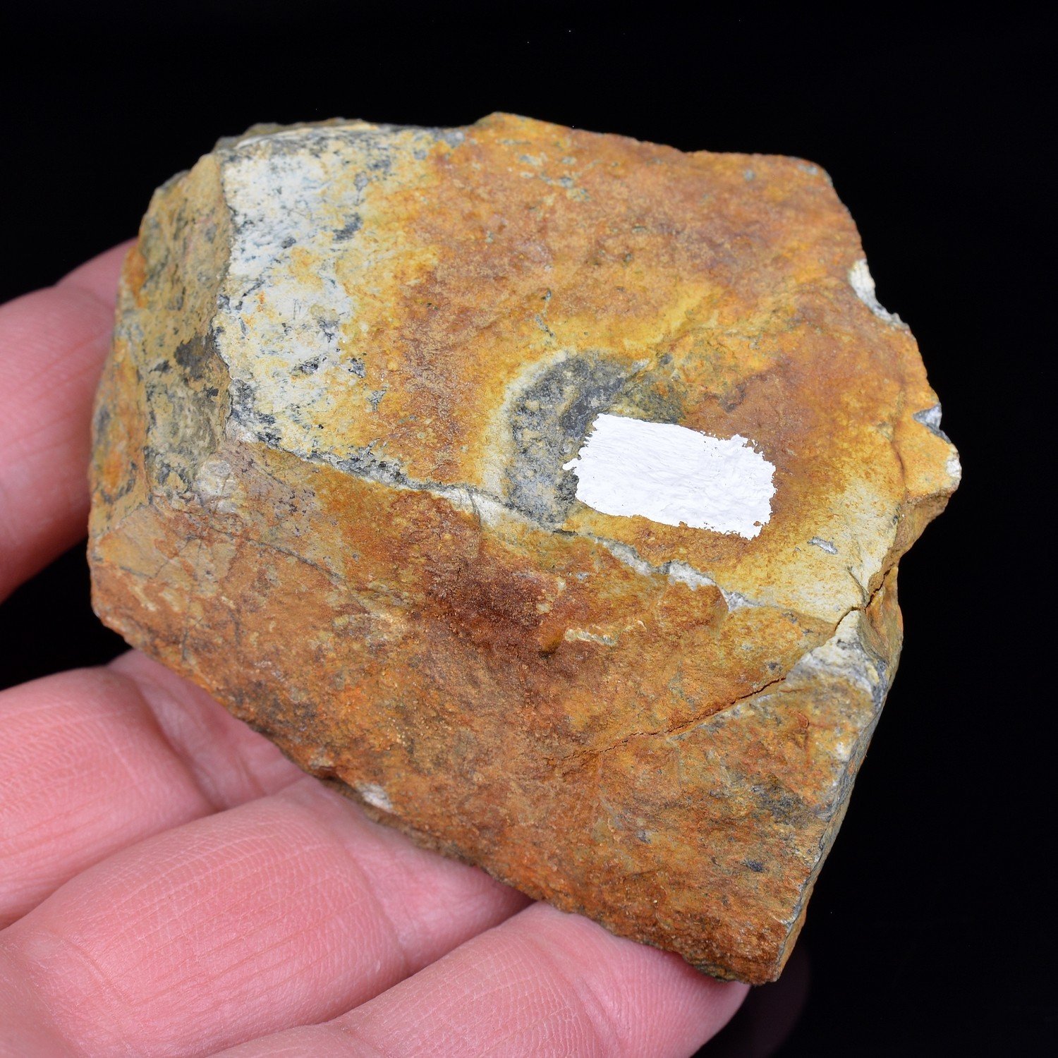 Pyrite - Tréglamus, Côtes d'Armor, France
