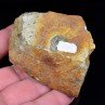 Pyrite - Tréglamus, Côtes d'Armor, France