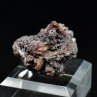 Zunyite - Qalat-e-Balat, Hormozgan, Perse/Iran