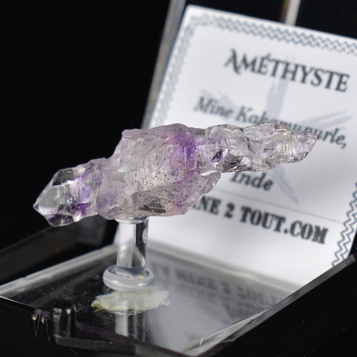 Améthyste - Mine Kakamunurle, Karur, Inde