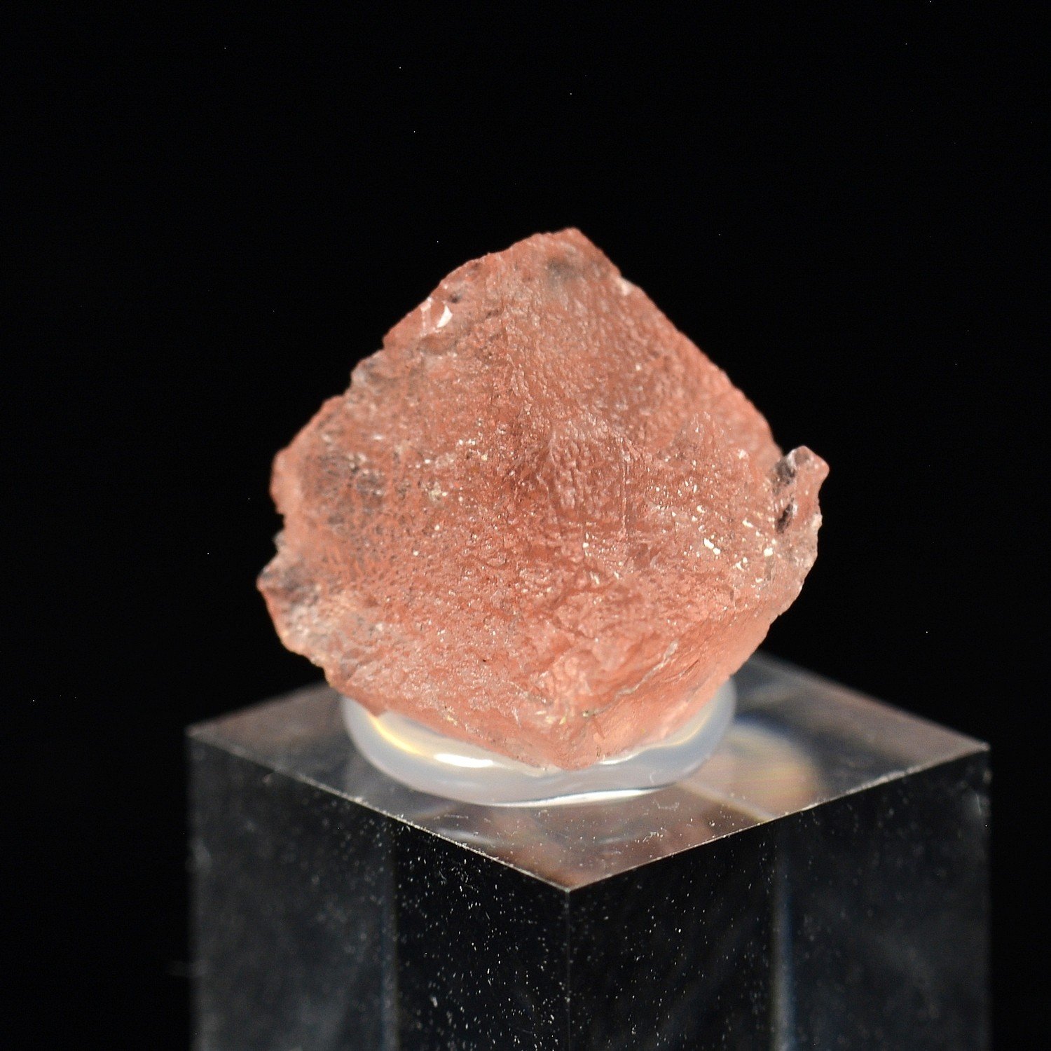 Fluorine rose - Face Sud des Droites, Massif du Mont-Blanc, France