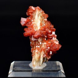 Vanadinite sur barytine - Disctrict minier de Mibladen, Maroc