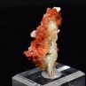 Vanadinite sur barytine - Disctrict minier de Mibladen, Maroc