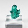 Dioptase - Brazzaville, DR Congo