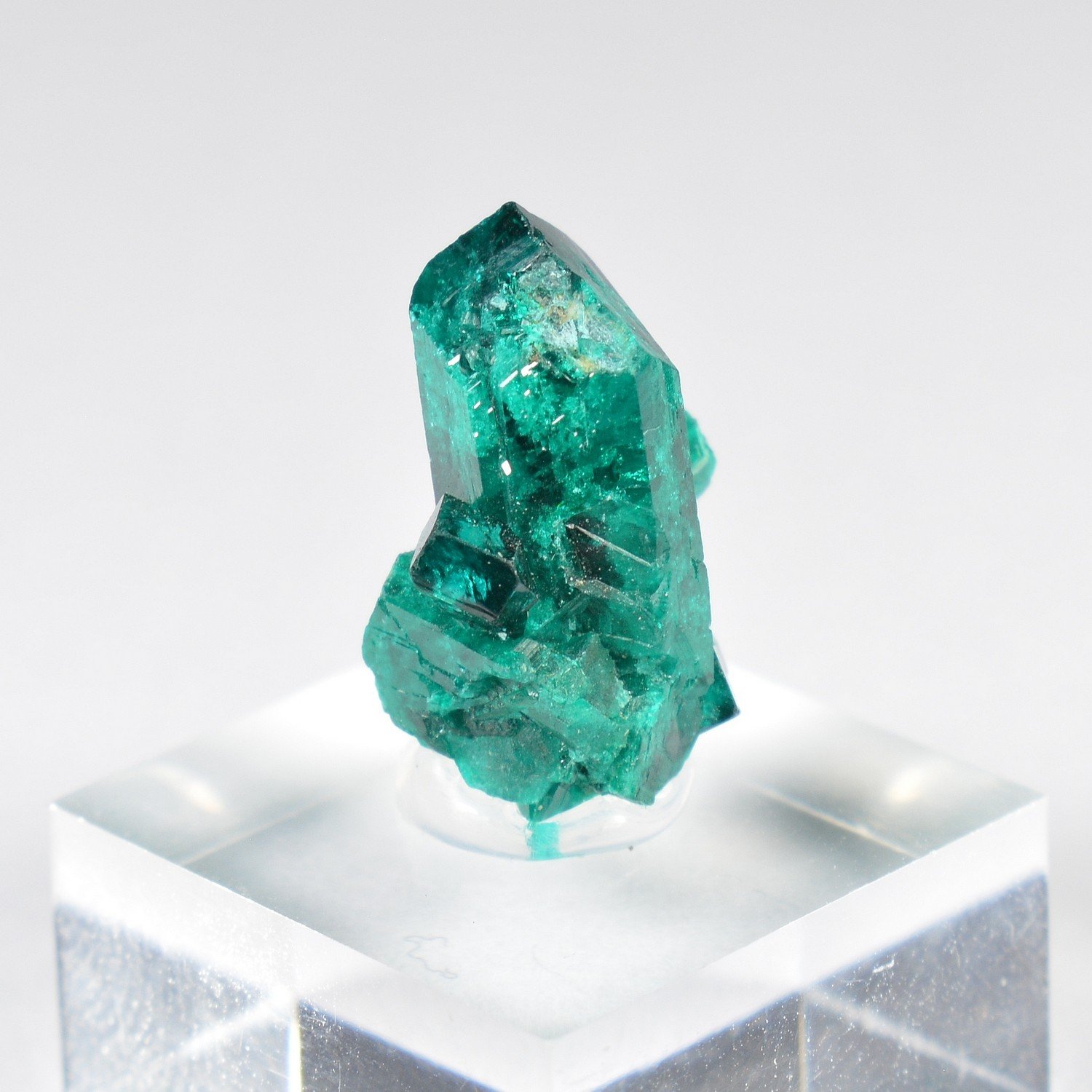 Dioptase - Brazzaville, DR Congo