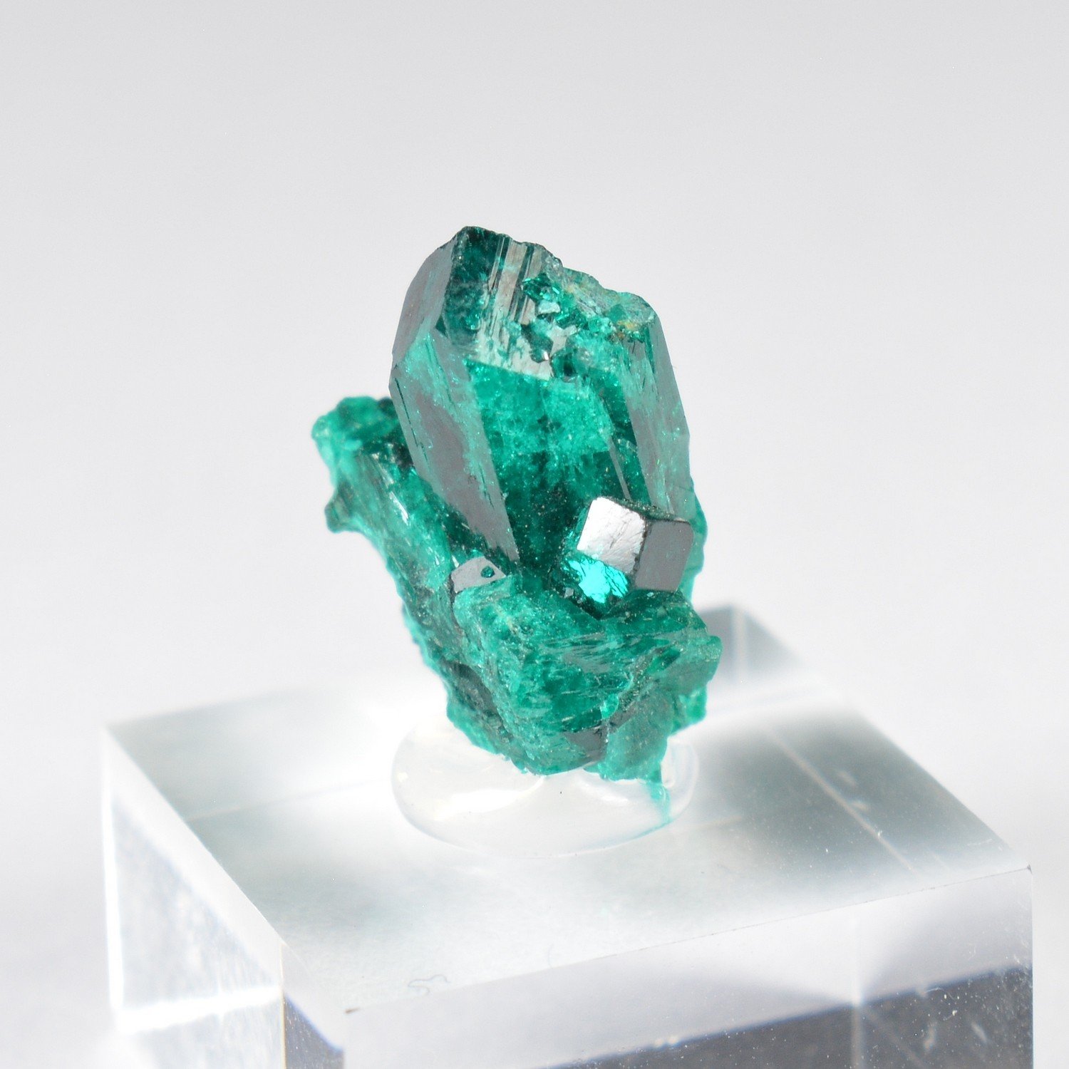 Dioptase - Brazzaville, DR Congo