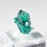 Dioptase - Brazzaville, RD Congo