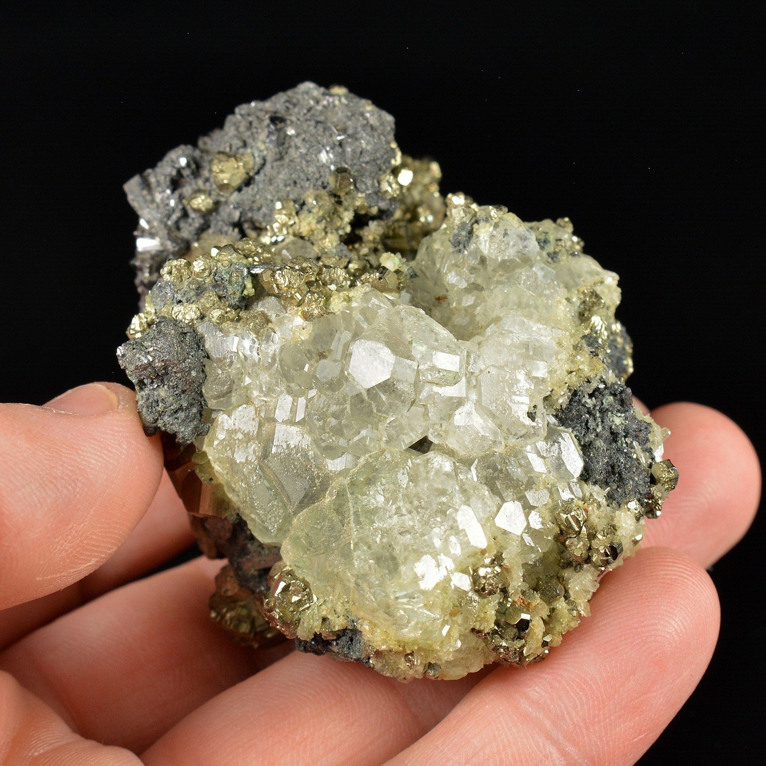 Fluorine et pyrite - Mine Naica, Naica, Municipalité de Saucillo, Chihuaha, Mexique Fluorine et pyrite - Mine Naica, Naica, Municipalité de Saucillo, Chihuaha, Mexique