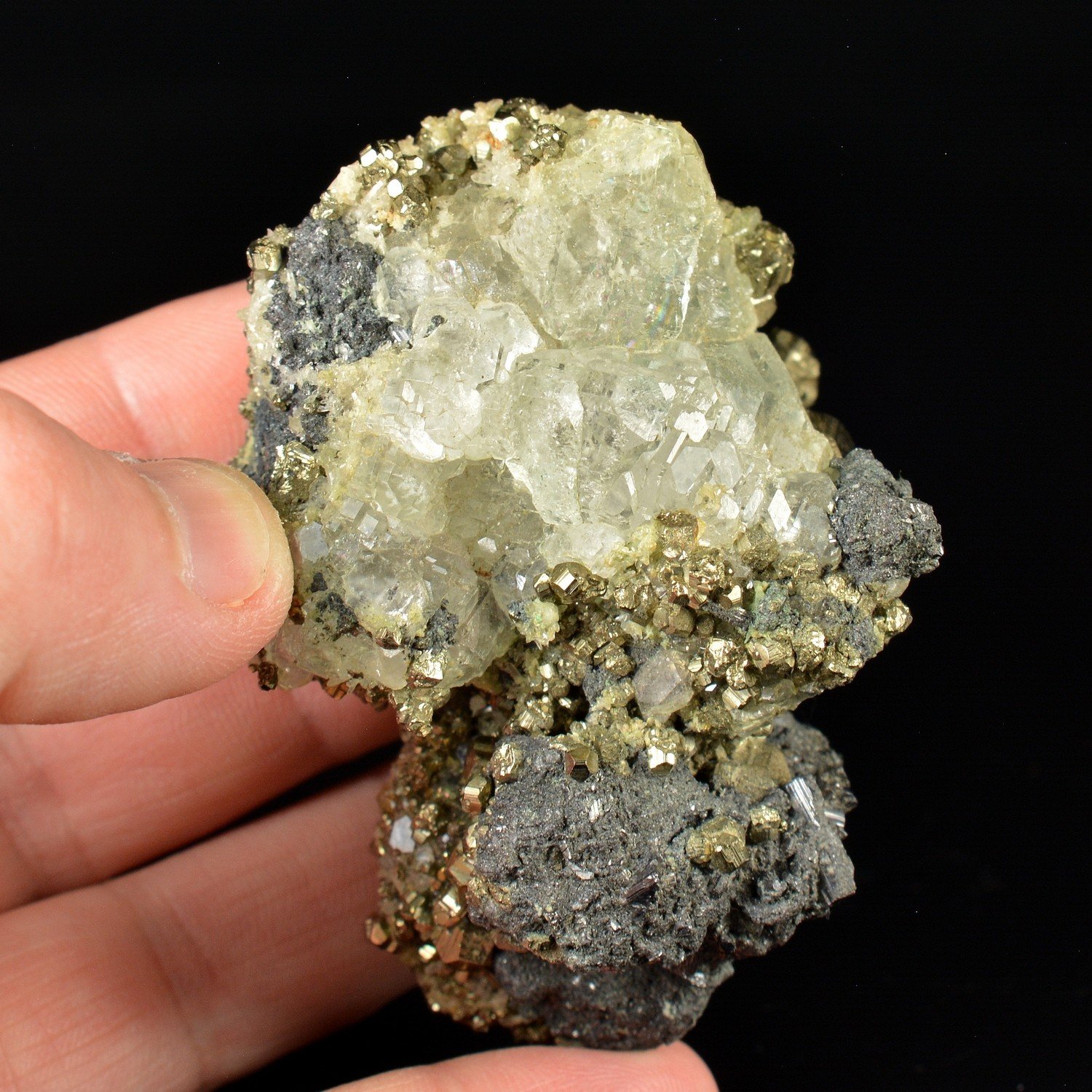 Fluorine et pyrite - Mine Naica, Naica, Municipalité de Saucillo, Chihuaha, Mexique Fluorine et pyrite - Mine Naica, Naica, Municipalité de Saucillo, Chihuaha, Mexique