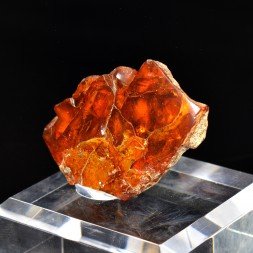 Amber - Chevrières, Oise, France
