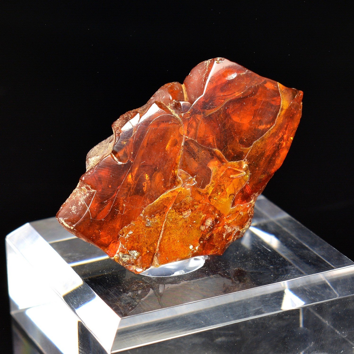 Amber - Chevrières, Oise, France Amber - Chevrières, Oise, France