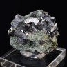 Sphalérite - Mine Borieva, Madan, Bulgarie Sphalérite - Mine Borieva, Madan, Bulgarie