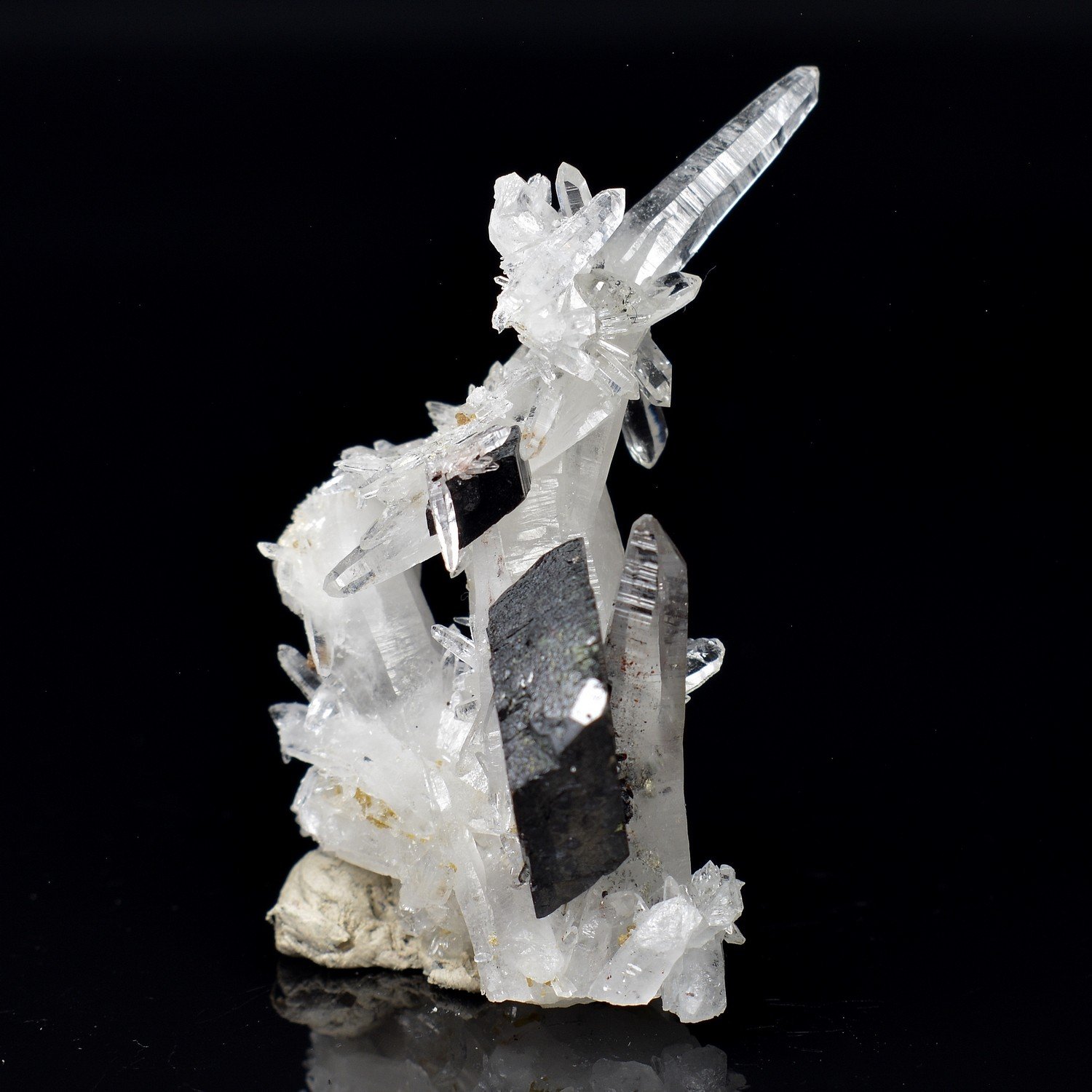 Hubnerite and quartz – Mondo Nuevo Mine, La Libertad, Peru Hubnerite and quartz – Mondo Nuevo Mine, La Libertad, Peru