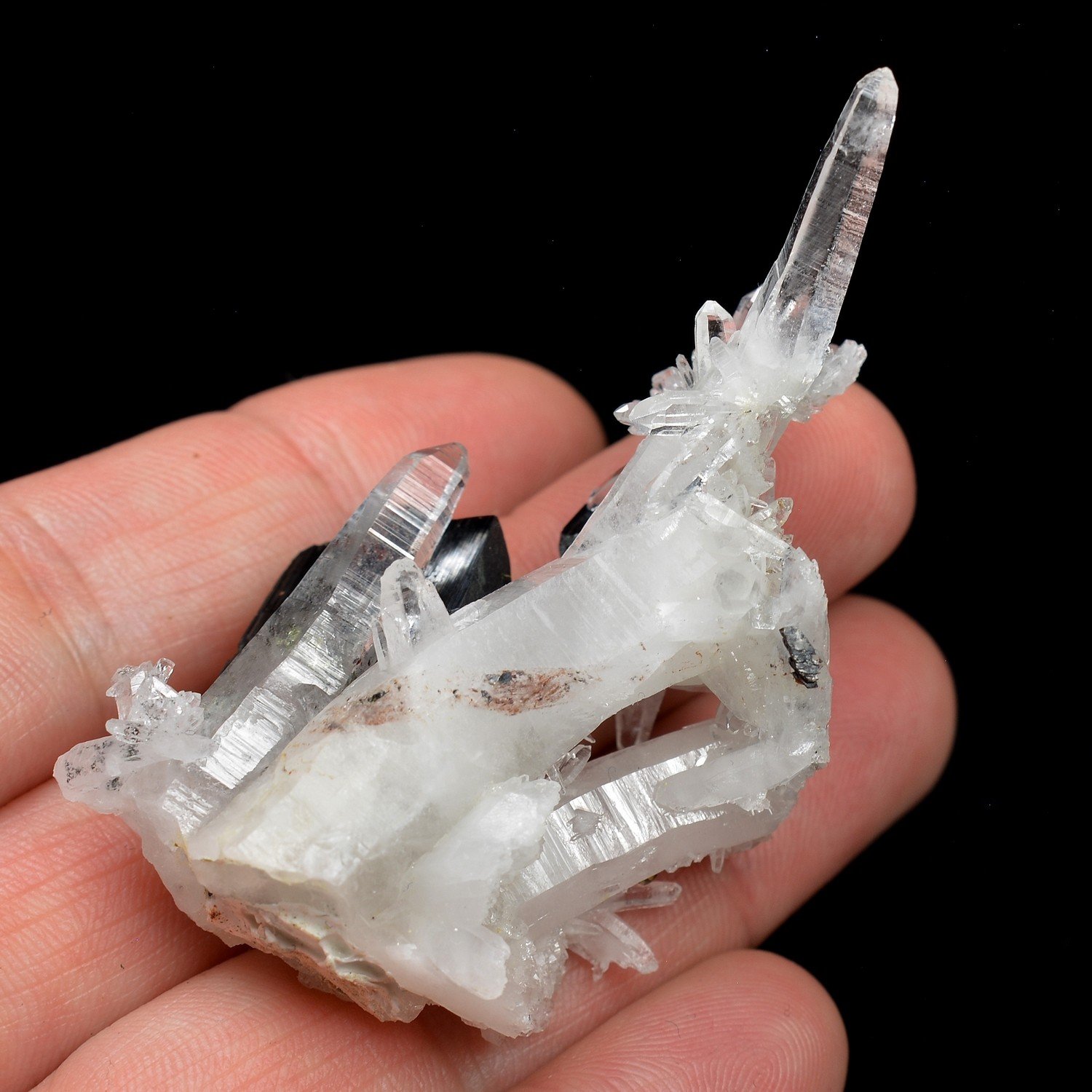 Hubnérite et quartz - Mine Mondo Nuevo, La Libertad, Pérou Hubnérite et quartz - Mine Mondo Nuevo, La Libertad, Pérou