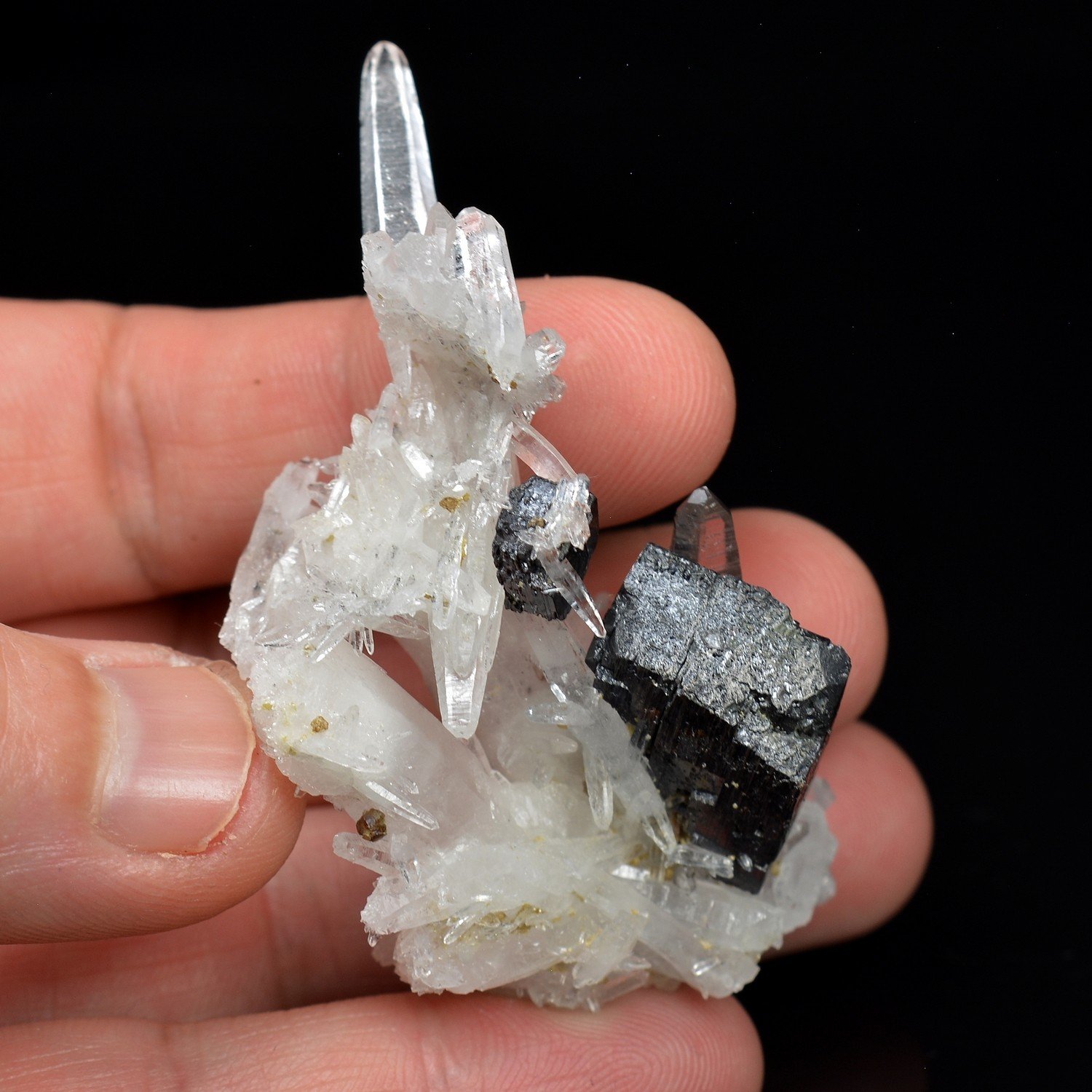 Hubnerite and quartz – Mondo Nuevo Mine, La Libertad, Peru Hubnerite and quartz – Mondo Nuevo Mine, La Libertad, Peru
