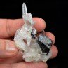 Hubnérite et quartz - Mine Mondo Nuevo, La Libertad, Pérou Hubnérite et quartz - Mine Mondo Nuevo, La Libertad, Pérou