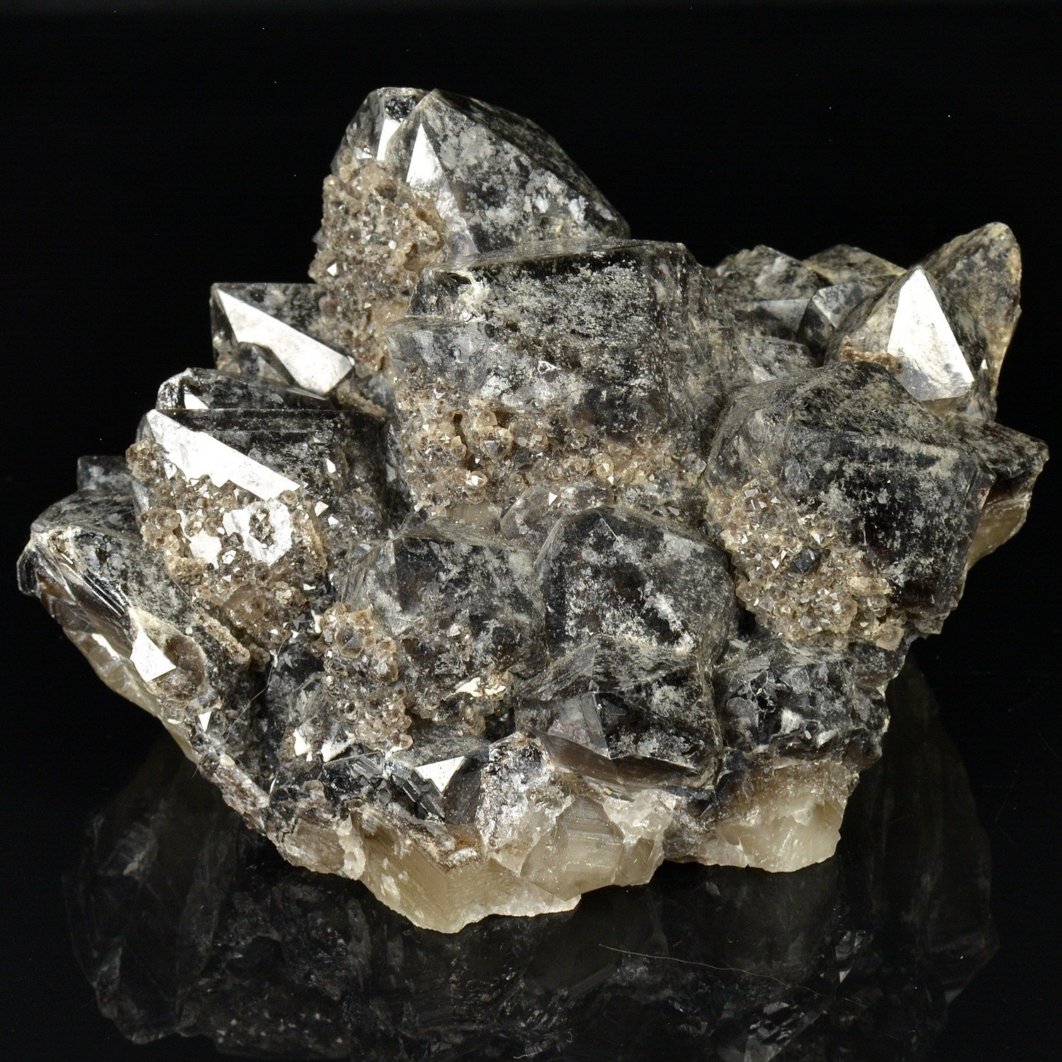 Quartz morion - Ploemeur, Morbihan, France