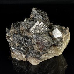 Quartz morion - Ploemeur, Morbihan, France