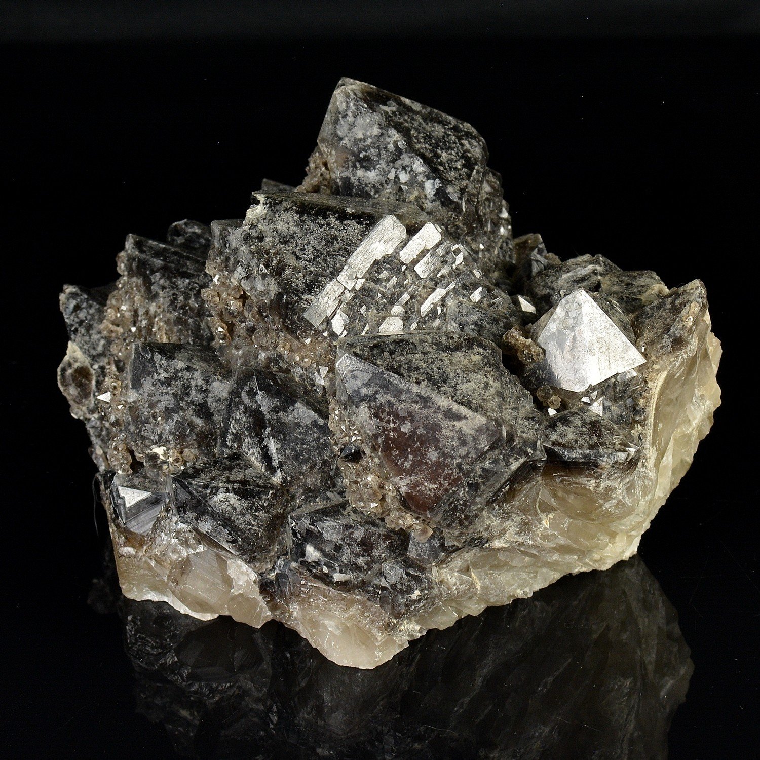 Quartz morion - Ploemeur, Morbihan, France