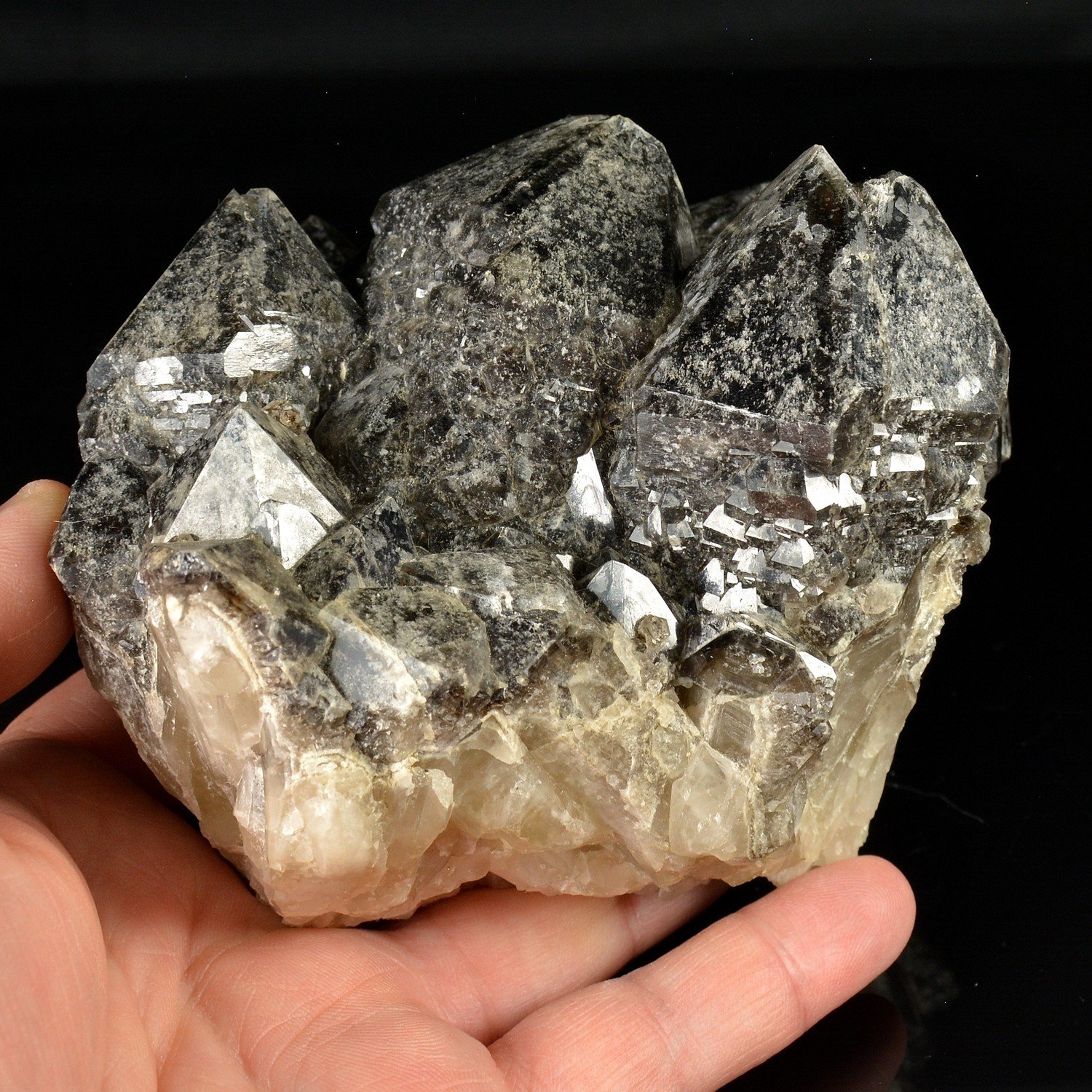 Quartz morion - Ploemeur, Morbihan, France