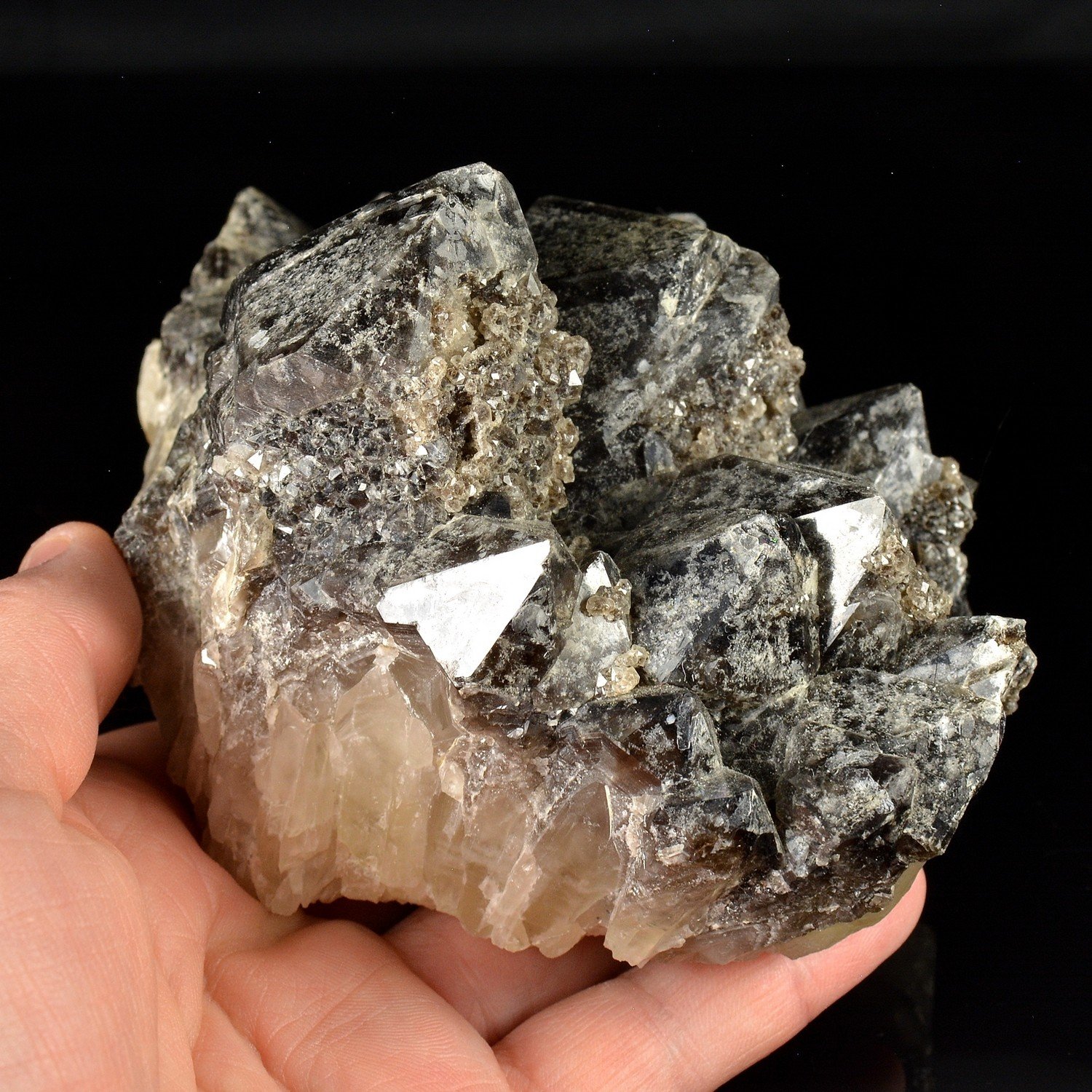 Quartz morion - Ploemeur, Morbihan, France