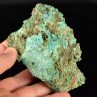 Aurichalcite et rosasite - Mine Ojuela, Mapimi, Durango, Mexique