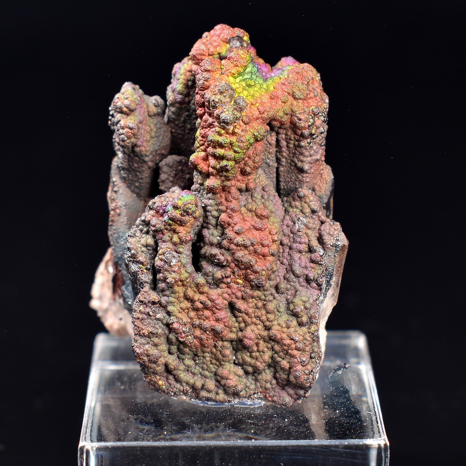 Goethite irisée (Turgite) sur quartz - Massif d'Itremo, Madagascar