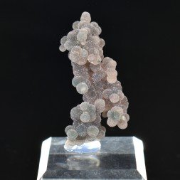 Agate grape - Mamuju, Sulawesi, Indonesia