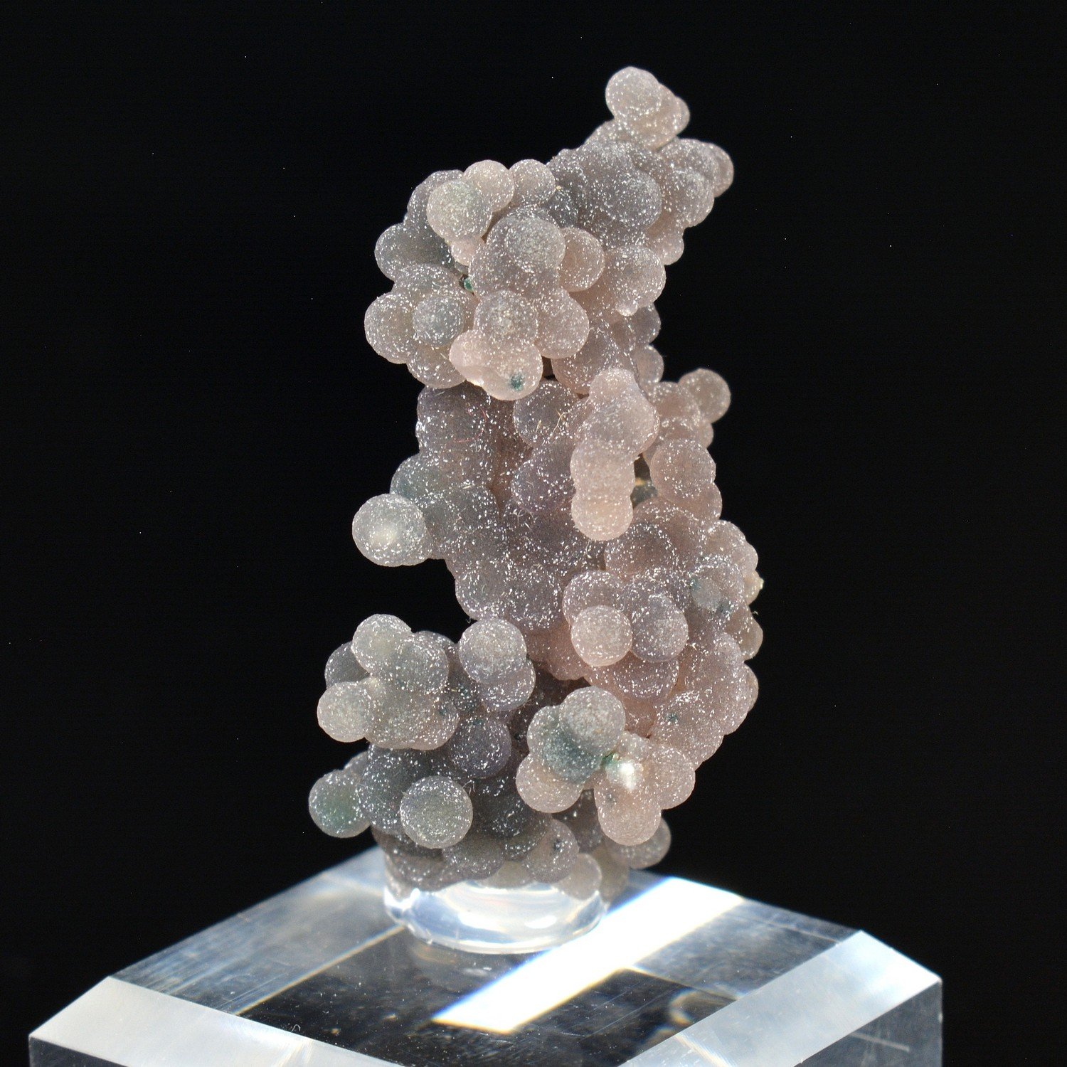 Agate grape - Mamuju, Sulawesi, Indonesia