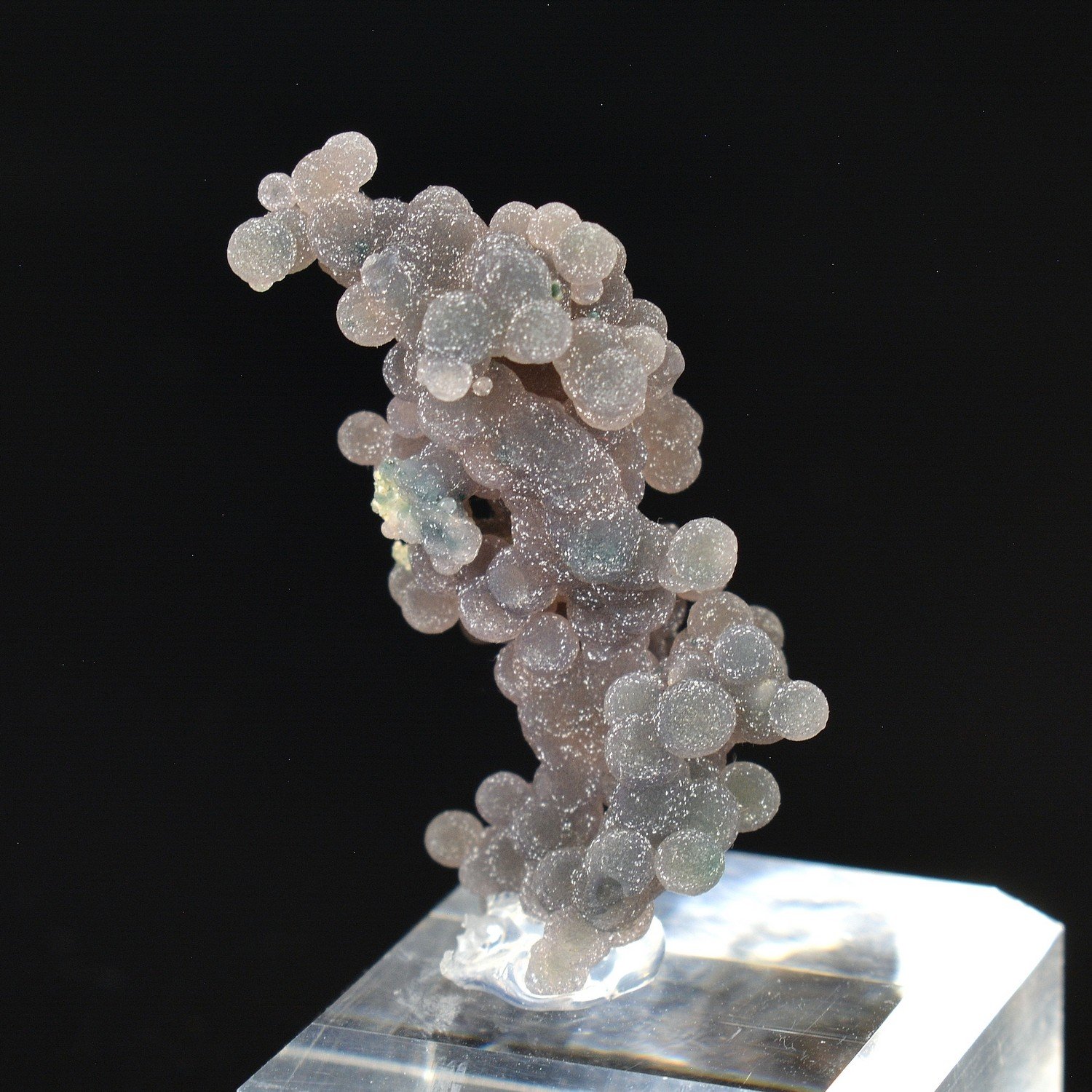 Agate grape - Mamuju, Sulawesi, Indonesia