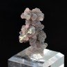 Agate grape - Mamuju, Sulawesi, Indonesia