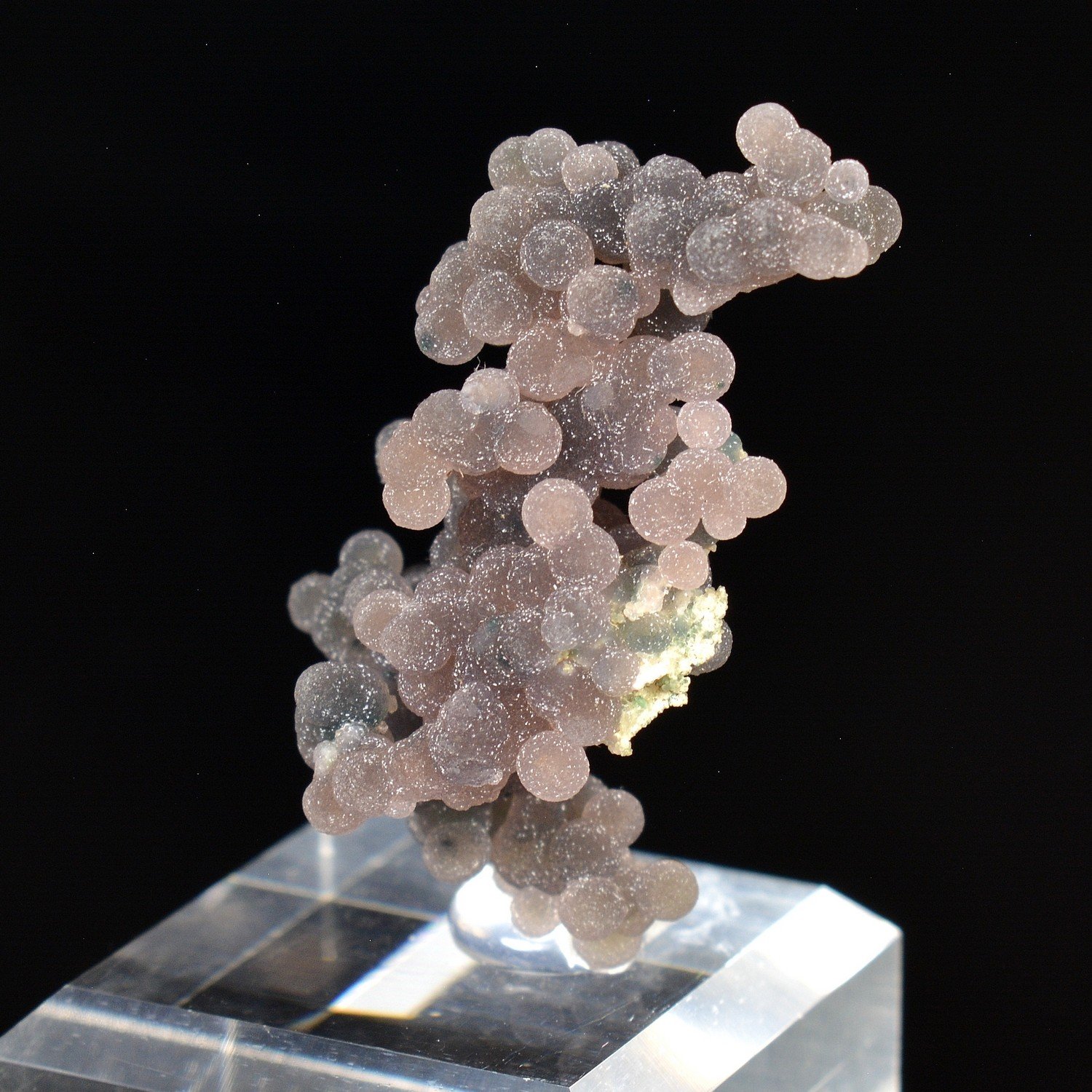 Calcédoine grappe - Mamuju, Sulawesi, Indonésie Calcédoine grappe - Mamuju, Sulawesi, Indonésie