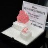 Rhodochrosite - DUO cut stone and crystallised stone Rhodochrosite - DUO cut stone and crystallised stone