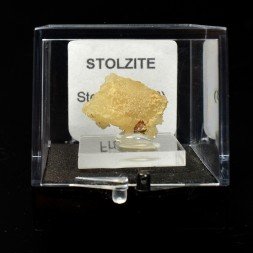 Stolzite – Sainte-Lucie Mine, Lozère, France