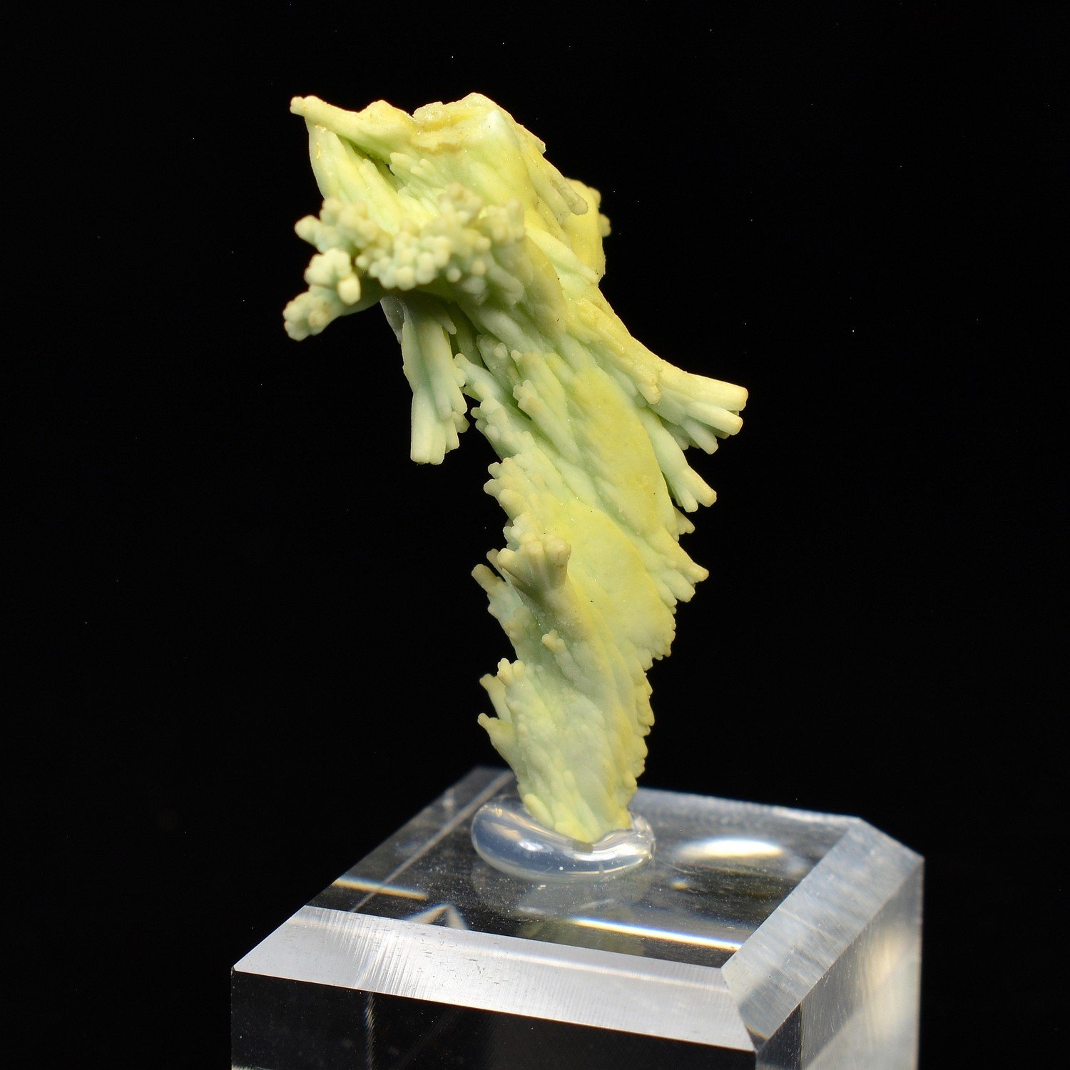 Plumbogummite psm après pyromorphite - Mine Yangshuo, Guilin, Province de Guangxi, Chine Plumbogummite psm après pyromorphite - Mine Yangshuo, Guilin, Province de Guangxi, Chine