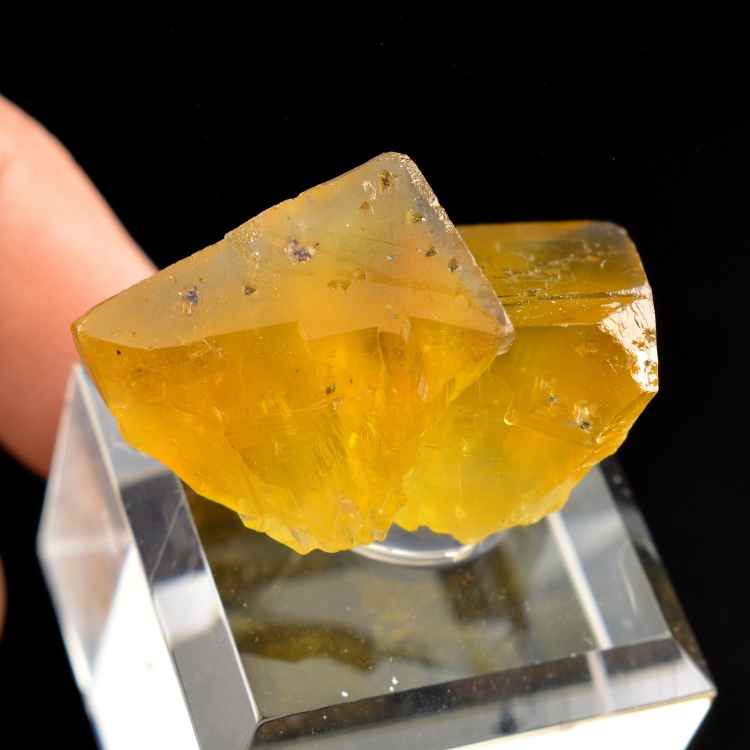 Fluorite - Yellow Vein, Valzergues, Aveyron, France Fluorite - Yellow Vein, Valzergues, Aveyron, France