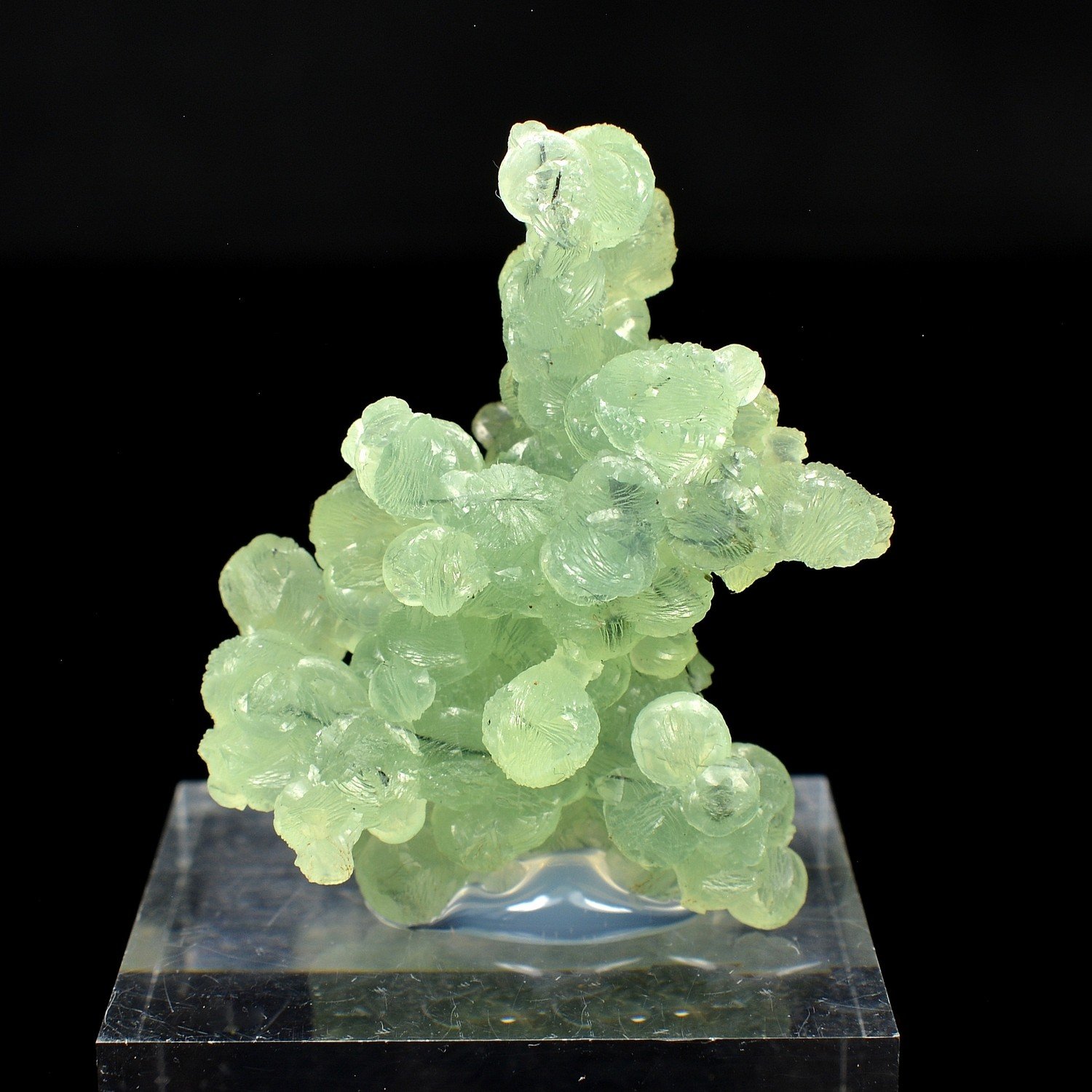Prehnite - Diamonkara, Kayes, Mali Prehnite - Diamonkara, Kayes, Mali