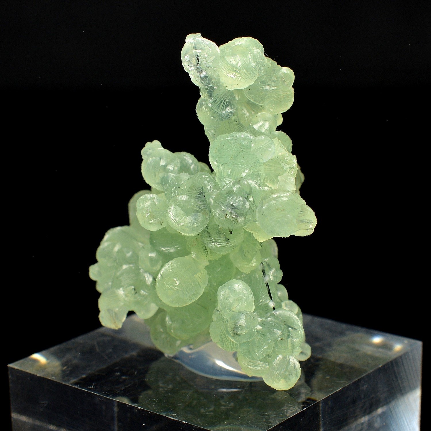 Prehnite - Diamonkara, Kayes, Mali Prehnite - Diamonkara, Kayes, Mali