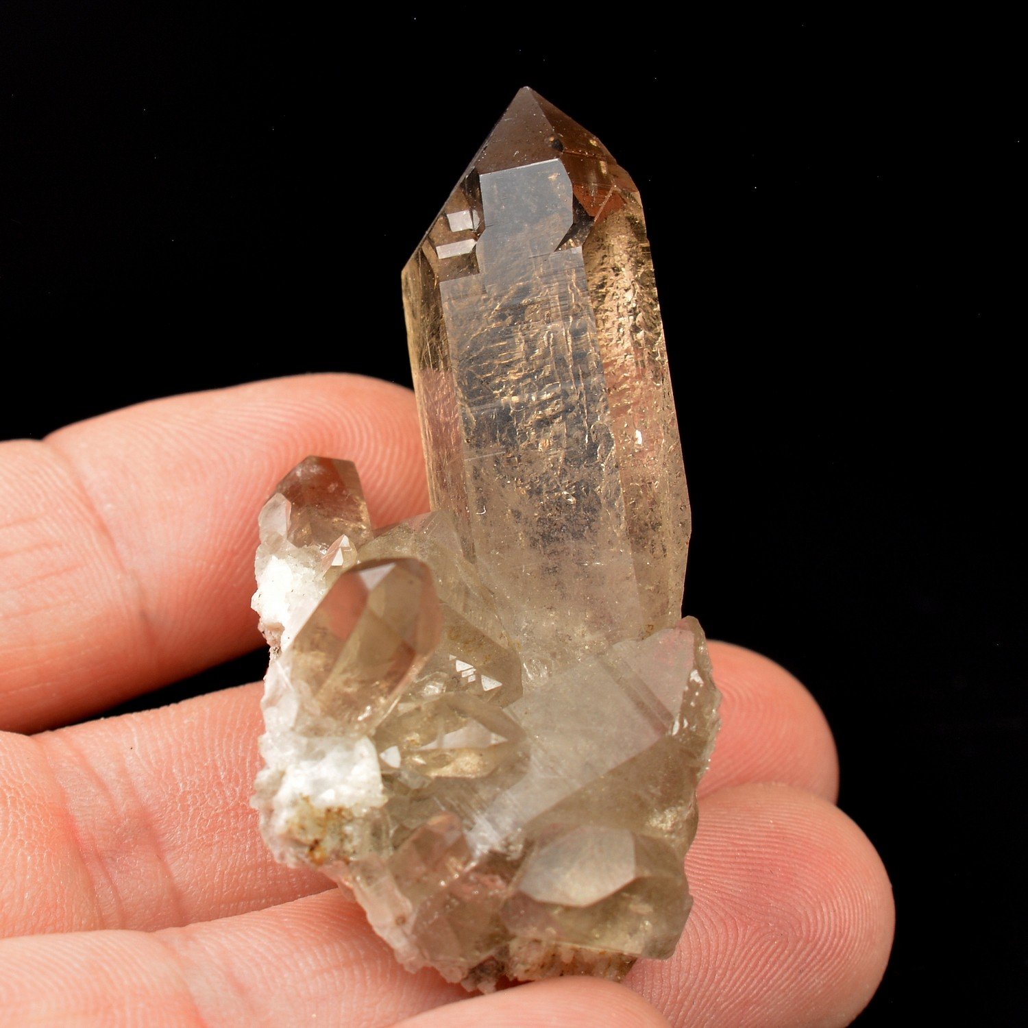 Quartz fumé - Argentière, Chamonix, Haute-Savoie, France Quartz fumé - Argentière, Chamonix, Haute-Savoie, France