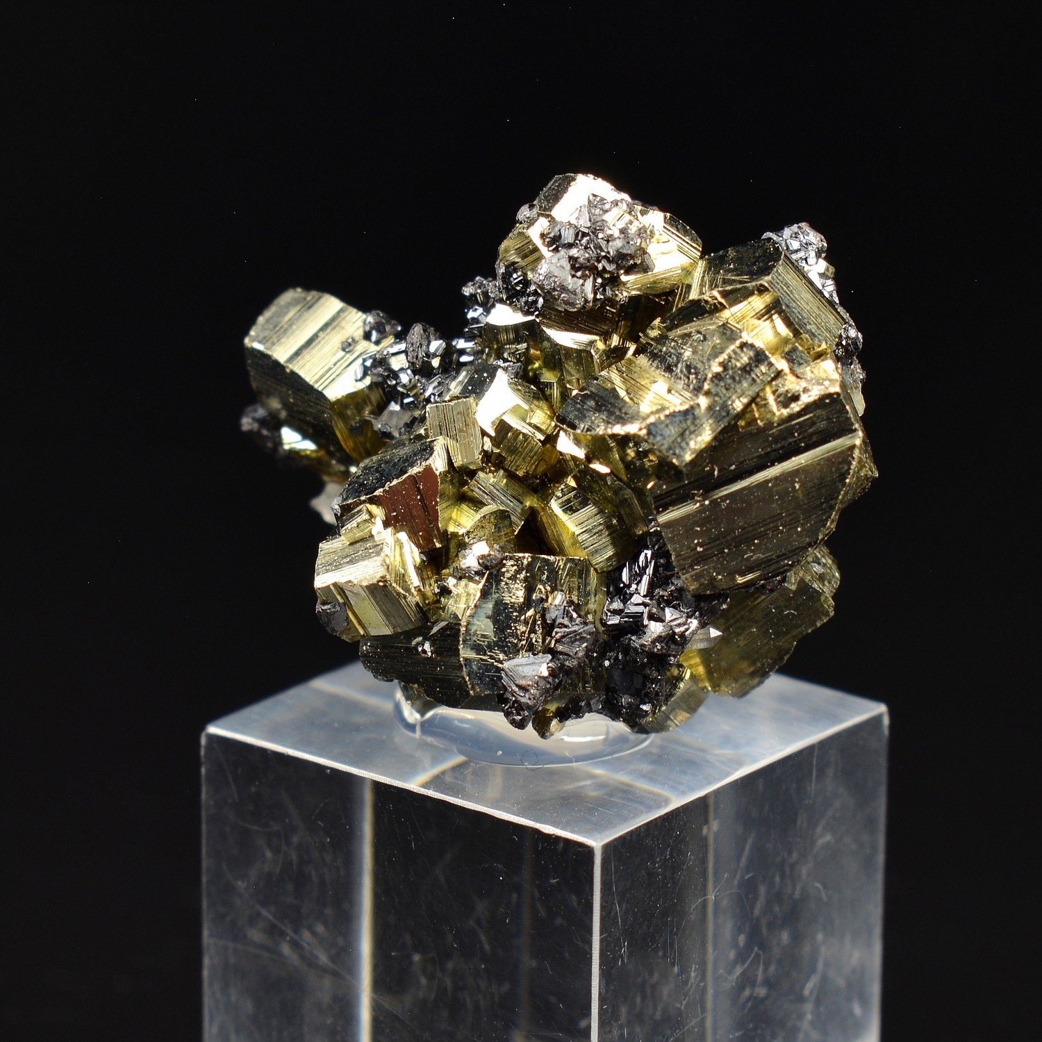 Pyrite and Sphalerite - Borieva Mine, Madan, Bulgaria