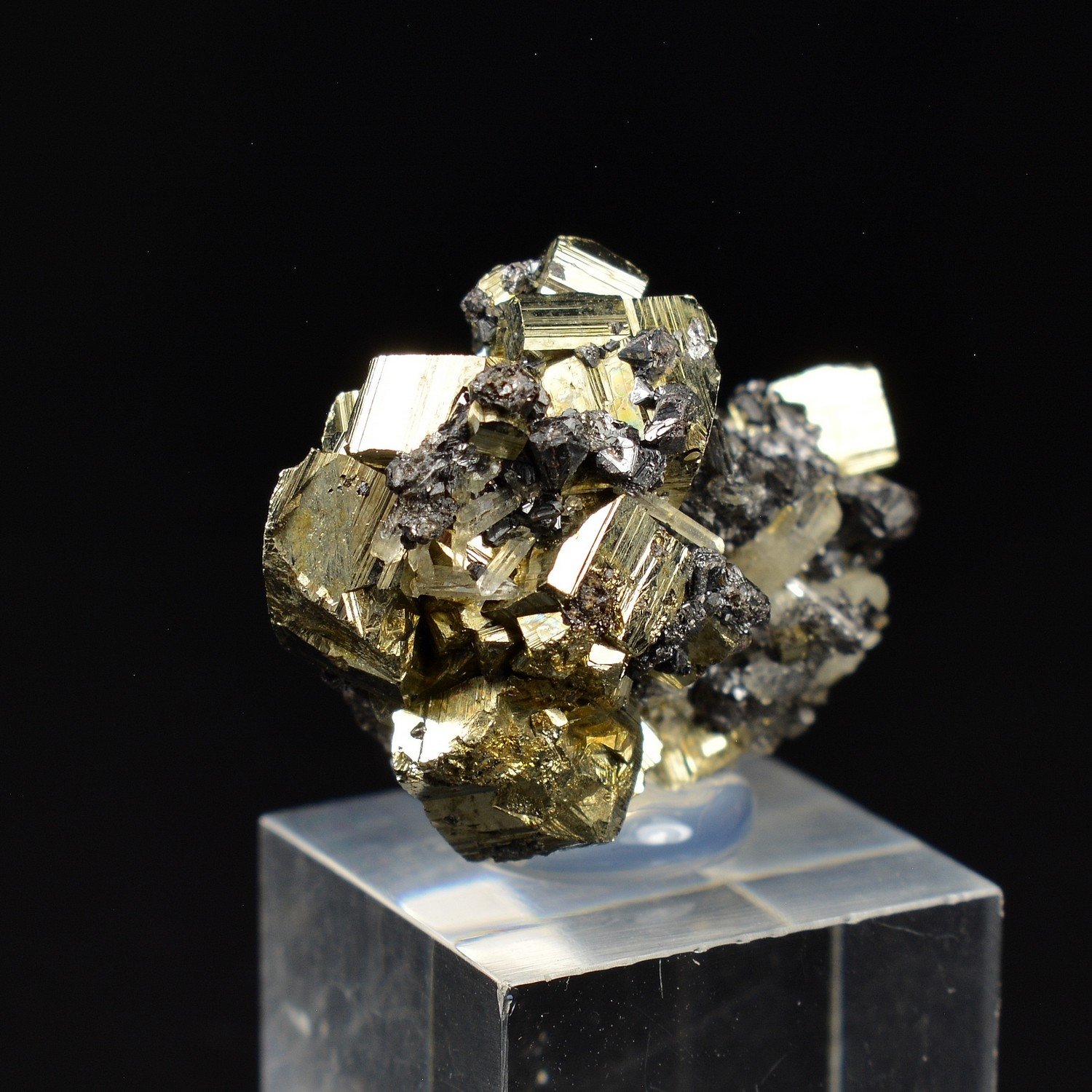 Pyrite and Sphalerite - Borieva Mine, Madan, Bulgaria