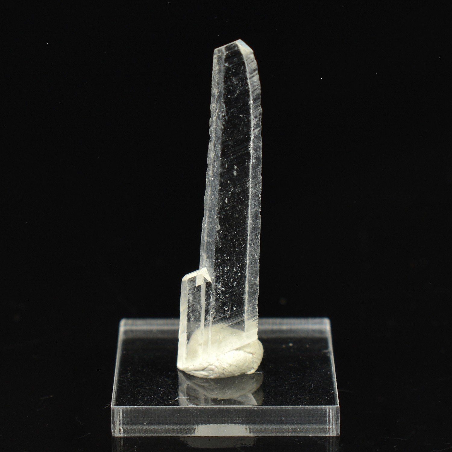 Nifontovite - Charcas, San Luis Potosi, Mexique Nifontovite - Charcas, San Luis Potosi, Mexique