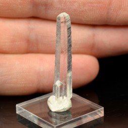 Nifontovite - Charcas, San Luis Potosí, Mexico