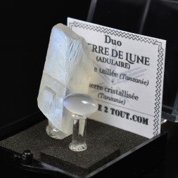 Moonstone (Adularia) - DUO Cut Stone and Crystallized Stone