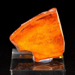 Ambre - Chevrières, Oise, France