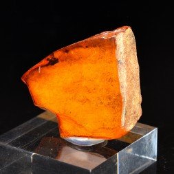 Ambre - Chevrières, Oise, France
