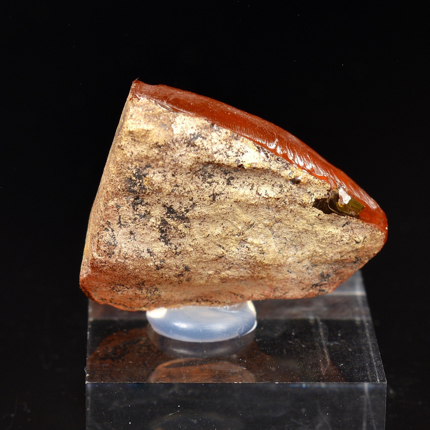 Amber - Chevrières, Oise, France