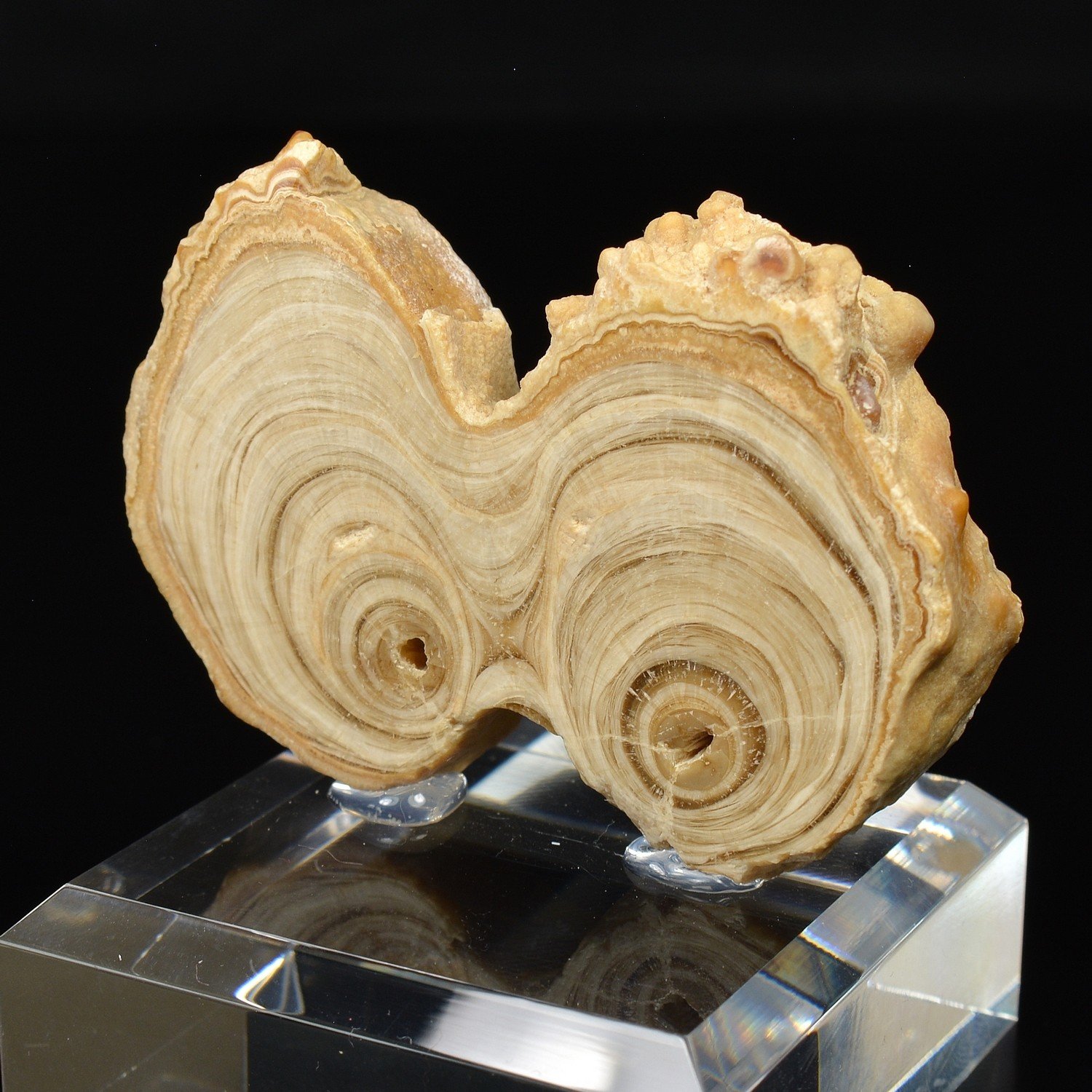 Aragonite - Imilchil, Morocco