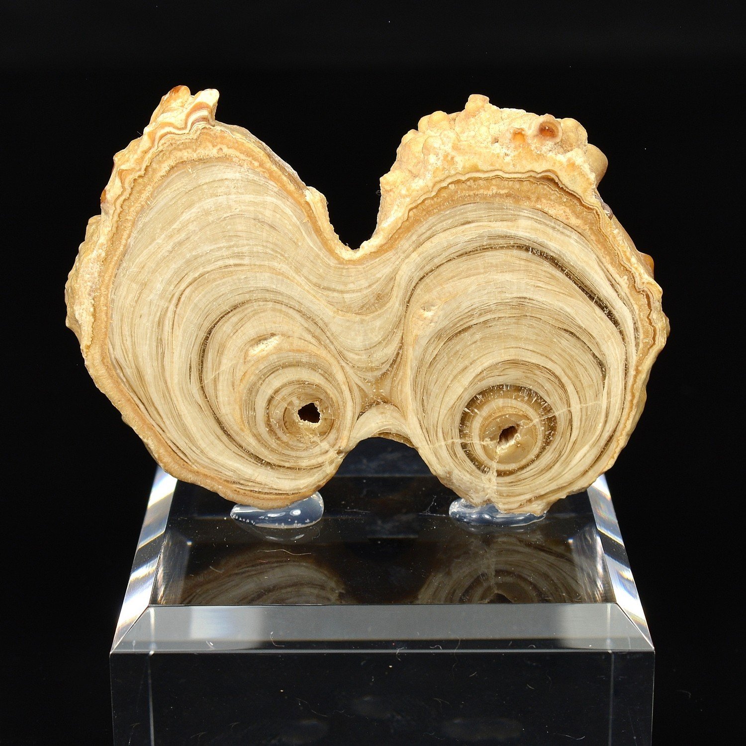 Aragonite - Imilchil, Maroc
